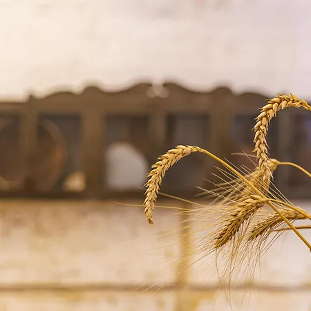 Il Granile Contemporary Loft Maison d'hôtes Matera