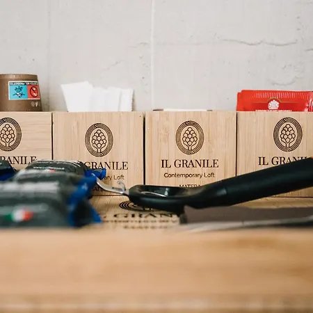 Il Granile Contemporary Loft 4* Matera